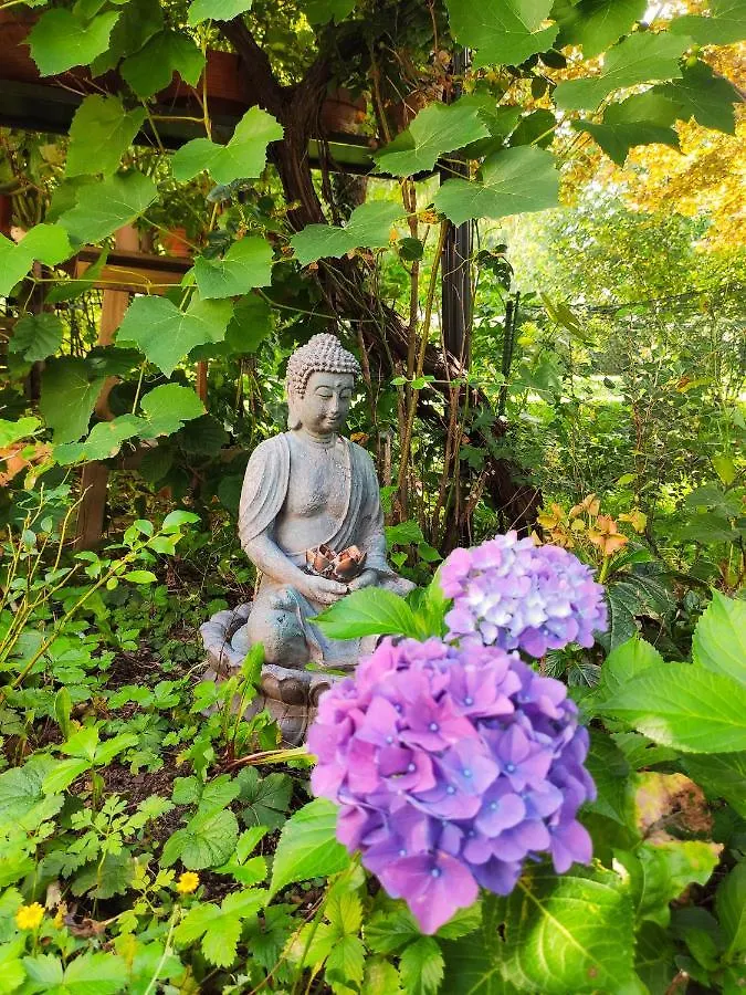 Modernes Zimmer Am Park Mit Garten, Huehner & Enten Mnichov
